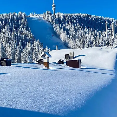 Апартаменты Luxury Studenets Пампорово