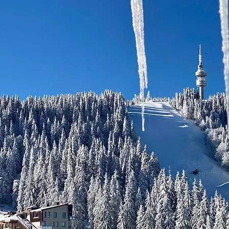 Luxury Studenets Апартаменты