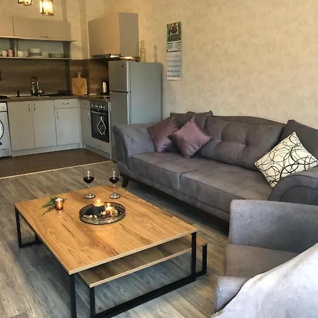 Luxury Studenets Apartment 3*