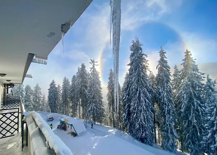 Luxury Studenets Apartment