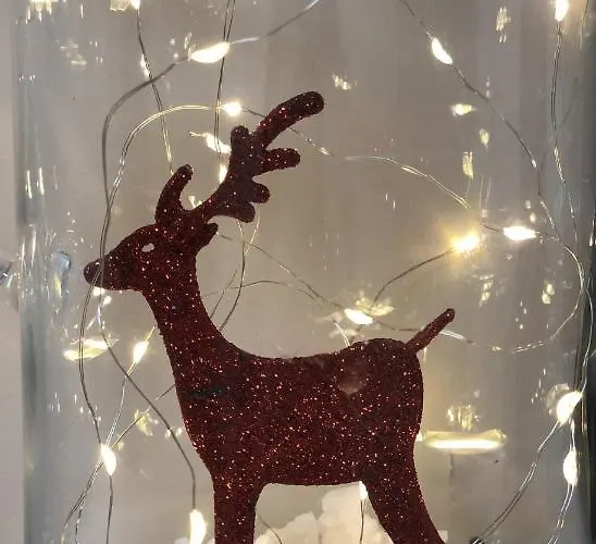 Apartment Luxury Studenets 3*